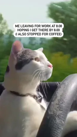 Bones Coffee Meta ad creative